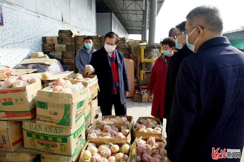 邢臺市市場監管局黨組書記柳金鐘實地調研食用農產品市場銷售信息追溯系統建設 筑牢食品安全防線，推動追溯技術研發創新